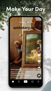 تنزيل أحدث إصدار من تطبيق TikTok APK 5