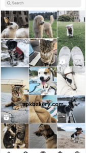 تحميل Instagram APK: دليل كامل لتنزيل التطبيق والاستمتاع بمزاياه 5